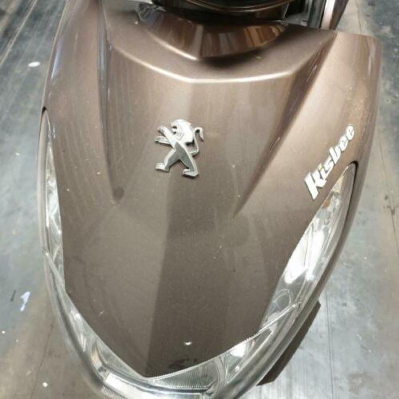 Peugeot Kisbee Kappenset beplating. (lichte schade)