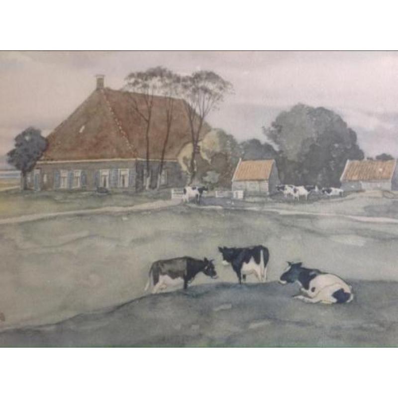 Aquarel/litho Ype Wenning