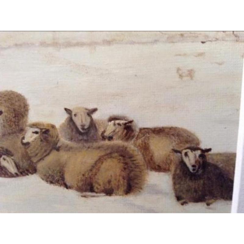 Schilderij : Schapen in de sneeuw in jaar 1863.