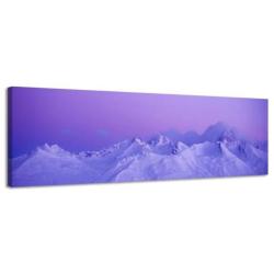 Diverse Canvas Panorama's - slechts EUR 49!