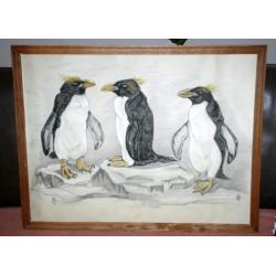 Houtskooltekening van pinguins