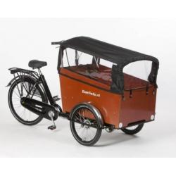 cargoTrike Classic Narrow Steps