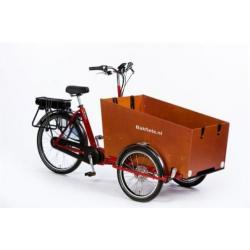 cargoTrike Classic Narrow Steps