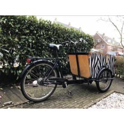 Babboe big bakfiets