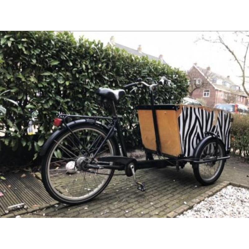 Babboe big bakfiets