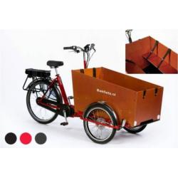 cargoTrike Classic Narrow Steps