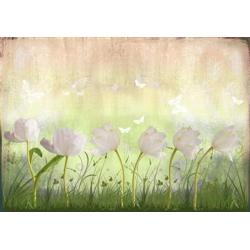 Fotobehang 42 white tulipfield NU:€25