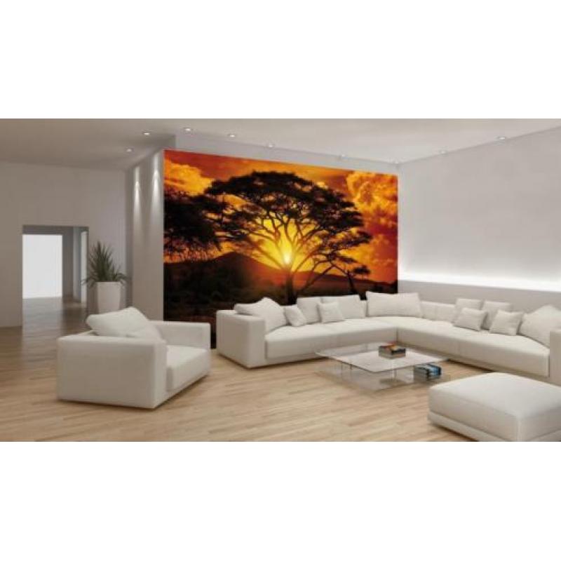 Fotobehang AFRICA SUNSET Gratis Lijm en Verzenden 1055