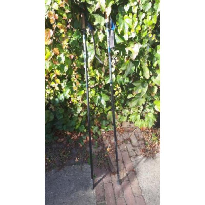 Nordic walking loopstokken, Abbey, 130 cm