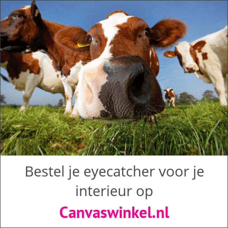 Canvaswinkel.nl, al jaren de referentie in canvassen!