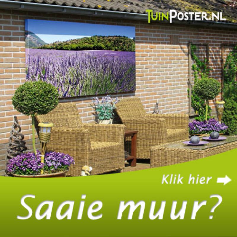 De oplossing voor die kale muur of schutting